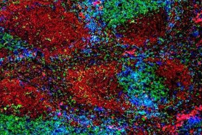 Low-Res_JIMCN_45_2_Picture