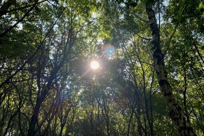 Low-Res_Little snoring experimental site 3_CREDIT James McDonald