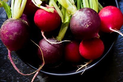 pexels-rarnie-mccudden-775207