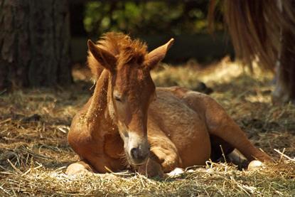 pexels-hilaryh-37983