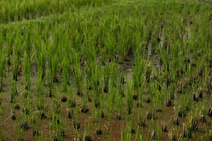 pexels-alexeydemidov-10658534