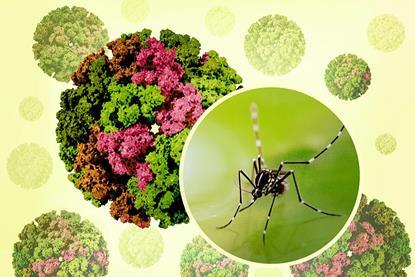 3D_renderings_of_and_Chikungunya_Virus_Capsids_and_an_Aedes_mosquito_photo_-_2