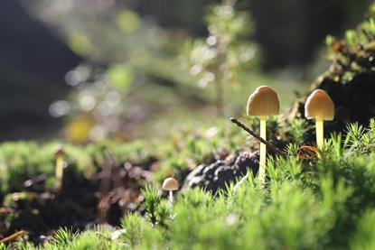 pexels-jk-holland-752385-5666762