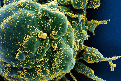 SARS-COV-2_virus (2)