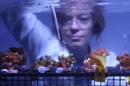 Low-Res_IMG_5158 landscape