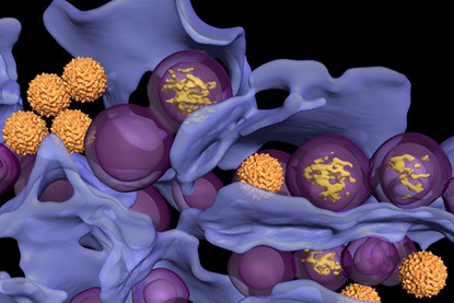 Low-Res_LGTV_1280_720