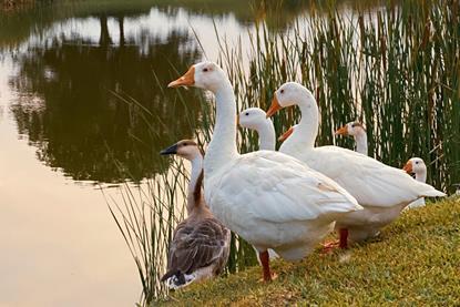 pexels-riya-nanavati-3816978-5658261