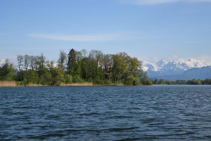 Low-Res_Baldeggersee_c_Pro Natura Luzern (1)