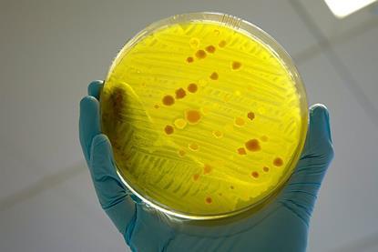 Antimicrobial_resistance
