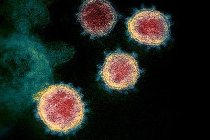 Novel_Coronavirus_SARS-CoV-2