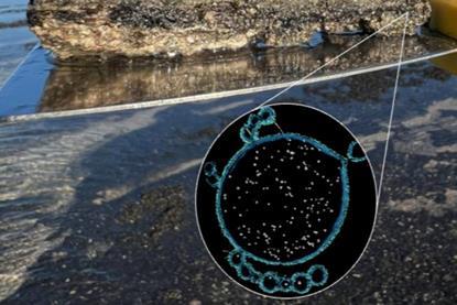 Low-Res_Image 1_Burns copy