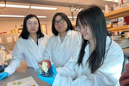 Low-Res_Tianxi Yang Ivy Chiu Ling Guo