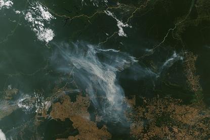 Deforestation_Heats_Up_in_Brazil_(MODIS_2024-08-01)