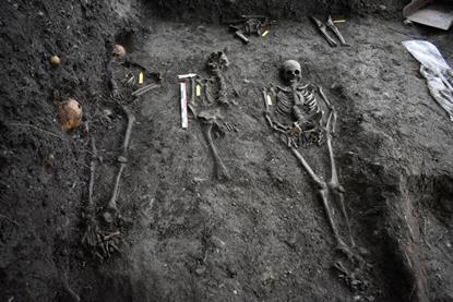 Low-Res_Skeletons, Stavanger