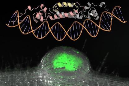 Low-Res_p20260131040000