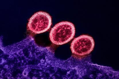 HIV_Virus_-_511122