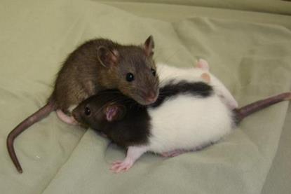 Low-Res_Katie Holl pic