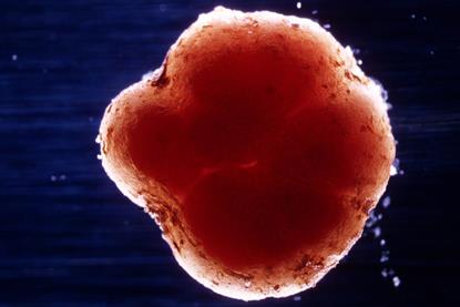 CSIRO_ScienceImage_2483_Rhizobium_bacteria