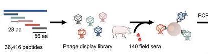 Low-Res_图片31