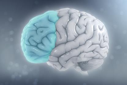 Attention_deficit_hyperactivity_disorder_-_Attention_deficit_hyperactivity_disorder_-_Reduced_brain_volume_on_the_left_side_from_ADHD
