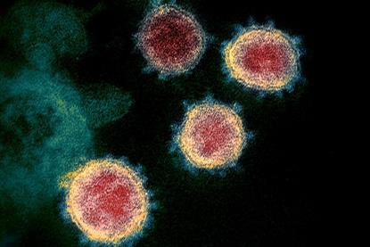 Novel_Coronavirus_SARS-CoV-2