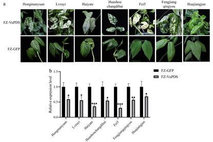 image (11)