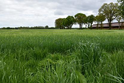 ries-bosch-epY2YWBjsCY-unsplash