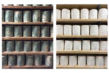 Low-Res_Photos of cheese wheels in 2016 on left and in 2022 on right