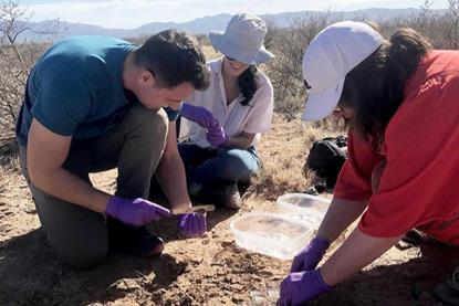 Low-Res_couradeau-helpers-dirt