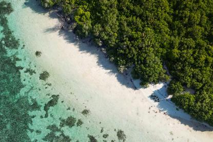 mohamed-uzain-EoCLHvM4W4E-unsplash (1)