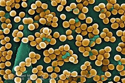 CDC-10046-MRSA