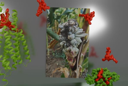 Low-Res_Press_release_02 - C Florian Altegoer