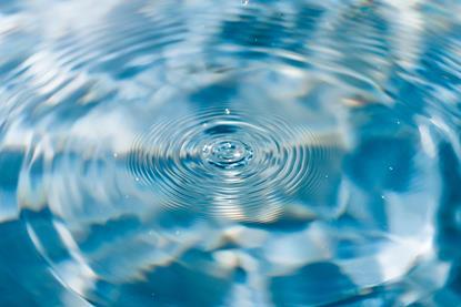 pexels-harriet-b-392993362-15469080