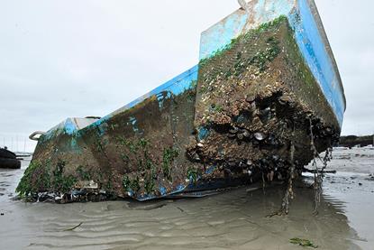 Biofouling_sur_une_embarcation_côtière_(Ifremer_00555-66701_-_43691)