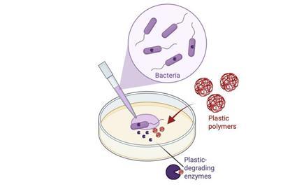 Low-Res_Graphical_Abstract