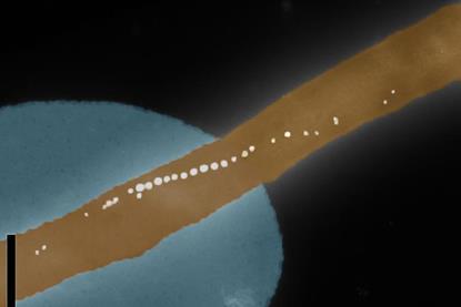 Low-Res_Bakti_on_Cantilever2