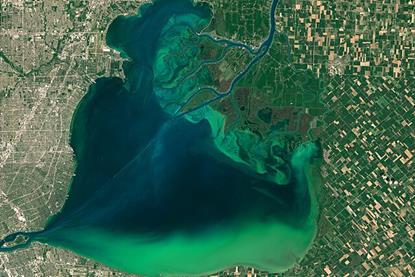 Algal Bloom in Lake St.Clair