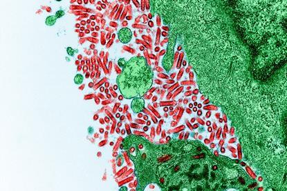 Rabies_Virus_(51706598561)