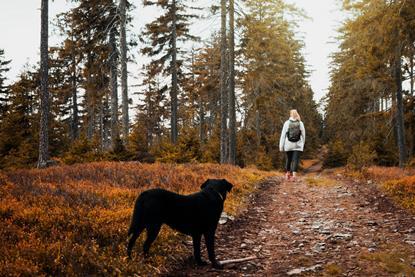 pexels-fr3nks-3107873