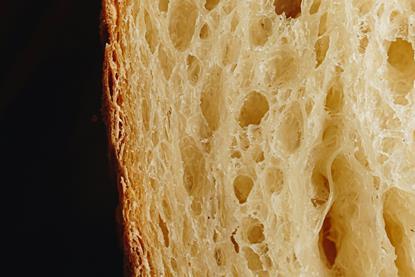 anna-bratiychuk-tUUA4jVr77o-unsplash