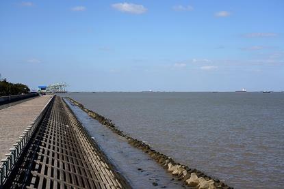 DSC00417_长江口_The_yangtze_river_estuary