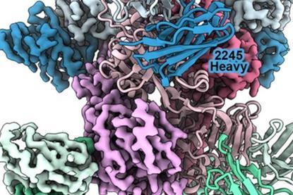 Low-Res_MAGE_structure_cropped_25-10-28 resize