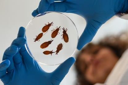 Low-Res_CoSci-Chagas_Disease-jrh1