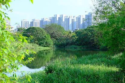 2021_Fu_Zhou_Constructed_Wetland_ii