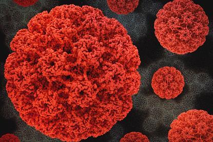 HumanPapillomavirus (1)