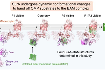 Low-Res_Figure_for_EurekAlert-2