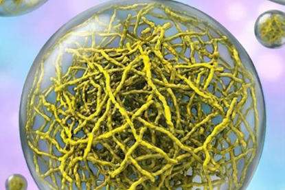 Low-Res_Lasker_Illustrator