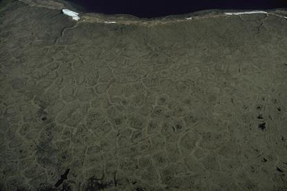 Permafrost_Polygons_(8434155572)