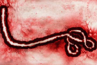 The_zoomed_out_ebolavirus_of_the_DRC_2026_OUTBREAK.webp