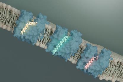 Low-Res_Clemons_Bil-Li_Evelyn-MurJ_20260212-WEB